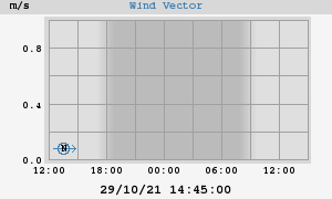 Wind Vector