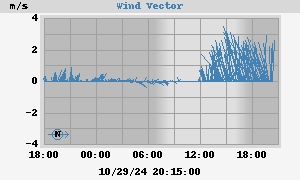 Wind Vector