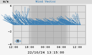 Wind Vector